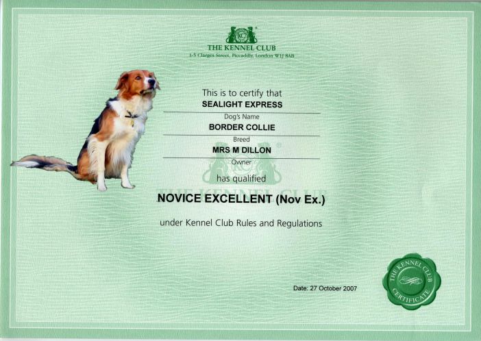 Tarka's Novice Certificate